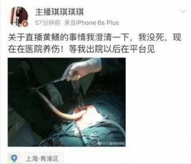 黄鳝门女主播视频 bt,揭秘网络直播界的惊人真相