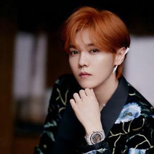 明星鹿晗图片大全,图片大全中的星光熠熠