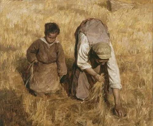 关于拾穗的资料,探寻农耕文明的传承与变迁